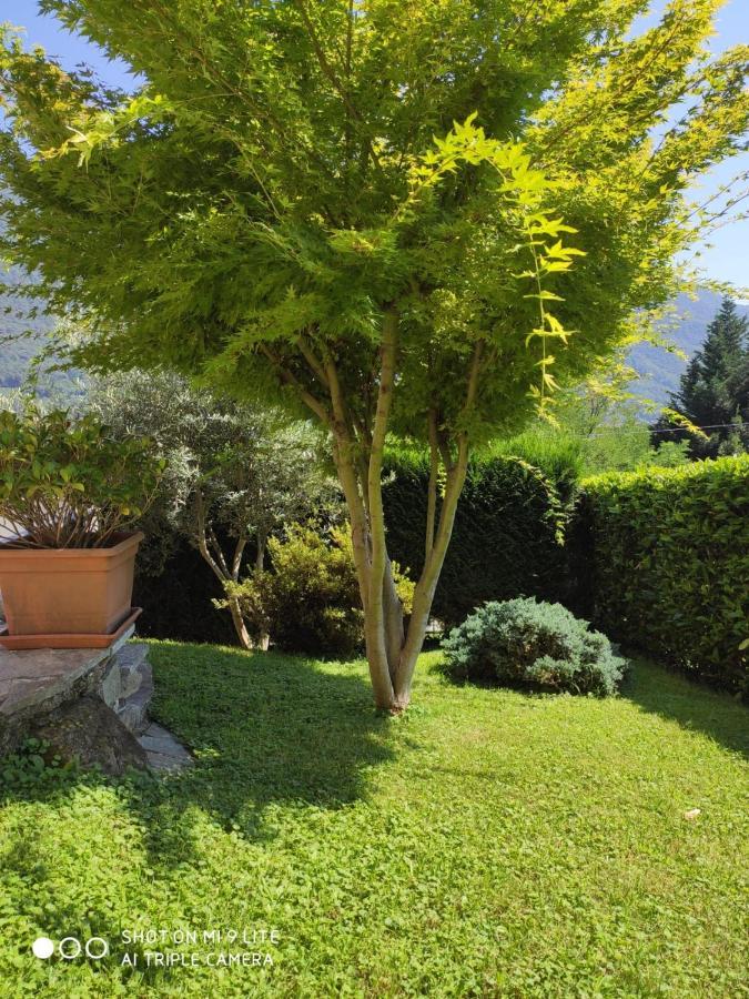 Holiday home Casa Il Glicine Casale Corte Cerro