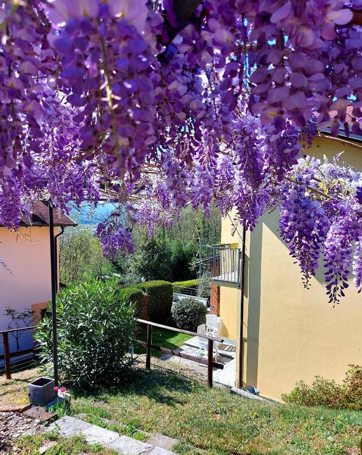 Holiday home Casa Il Glicine *